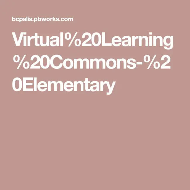 Virtual Learning System : 虚拟学习系统