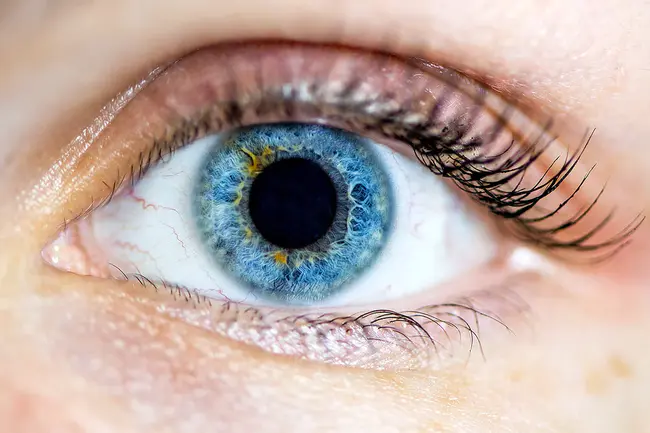 Eyesight : 视力