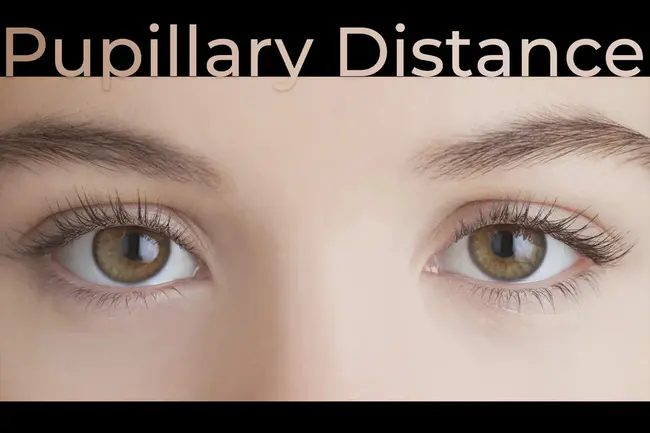 Pupillary Distance : 瞳孔距离