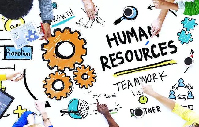 Human Resources Payroll : 人力资源工资单