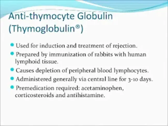 Anti-Thymocyte Globulin : 抗胸腺细胞球蛋白