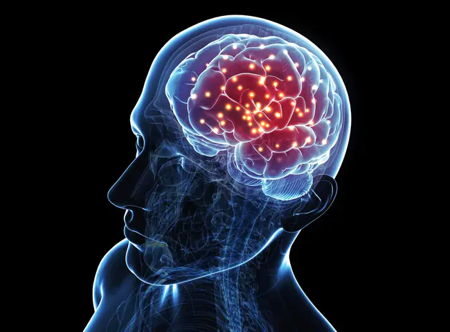 Brain Damaged Adult : 脑损伤成人