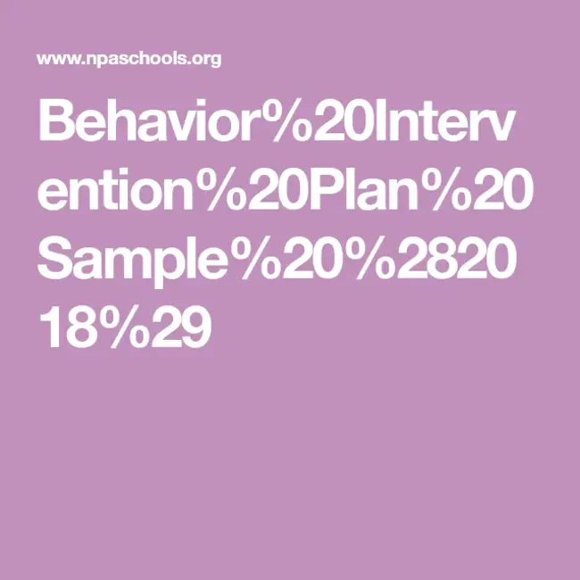 Behavior Intervention Plan : 行为干预计划