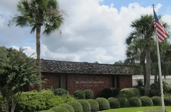 Bay Osteopathic Hospital : 海湾骨科医院