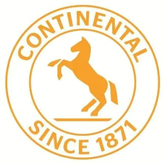 Continental Can Company : 大陆罐头公司