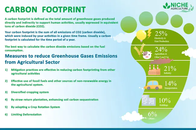 Zero Mainframe Footprint : 零主机占用