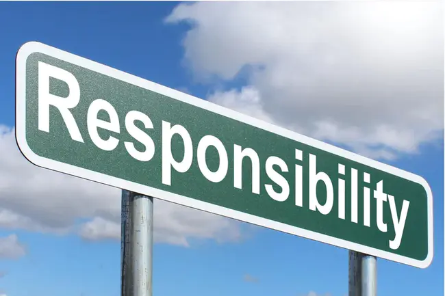 Responsibility : 责任心