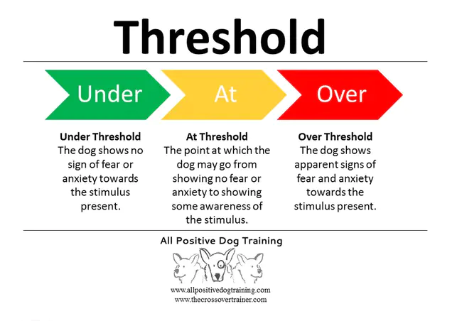 Threshold Logic Unit : 门限逻辑单元