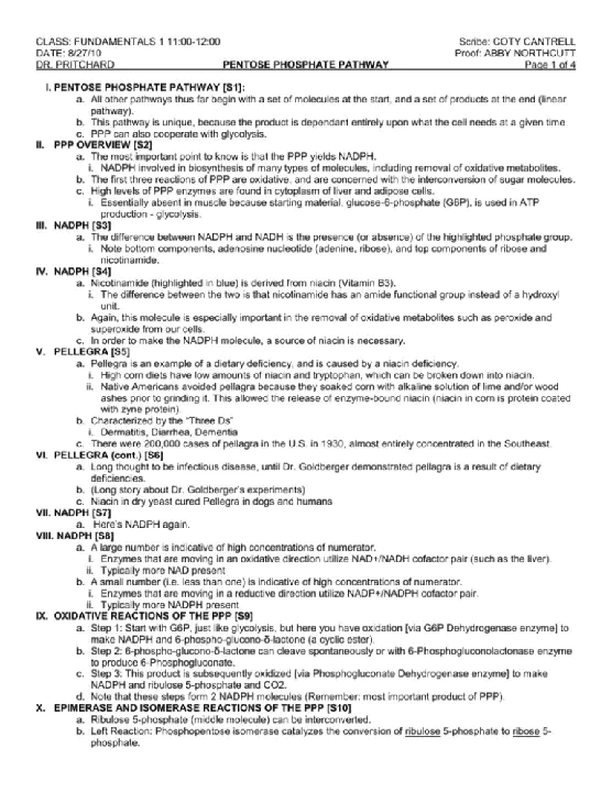 PPP (Pont-to-Point Protocol) Termination Aggregation : 点对点协议终止聚合