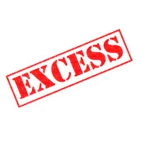 Excess : 过剩