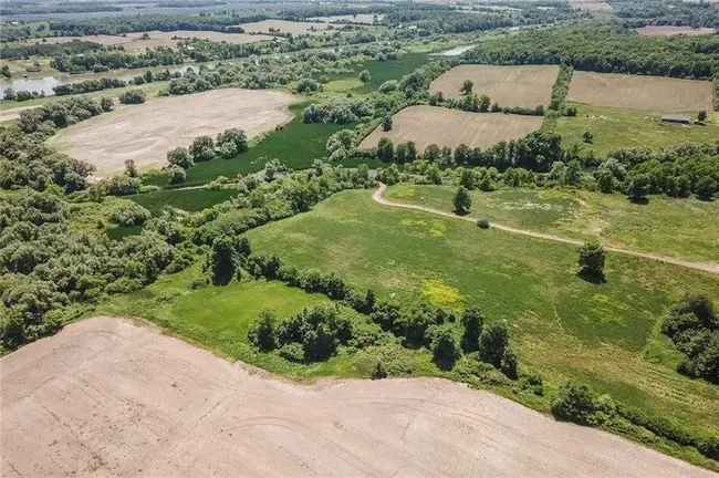 Haldimand Community Forest : 哈尔迪曼德社区森林