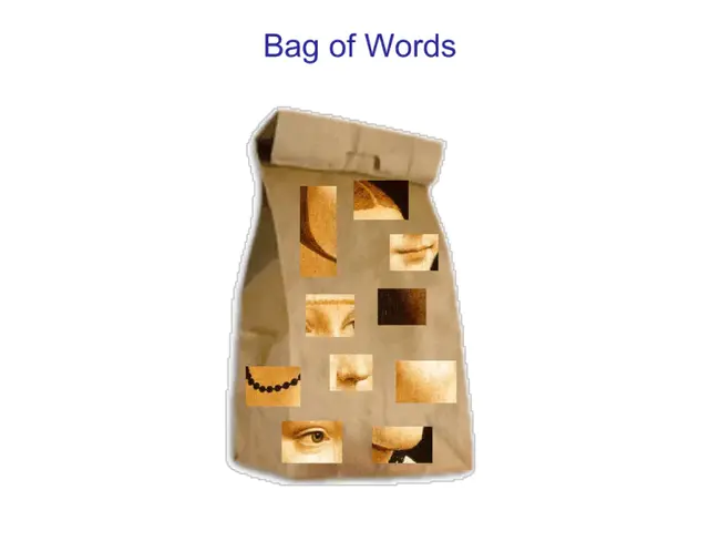 Bag Of Words : 词袋