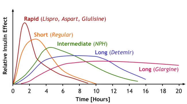 Insulin Resistance Syndrome : 胰岛素抵抗综合征