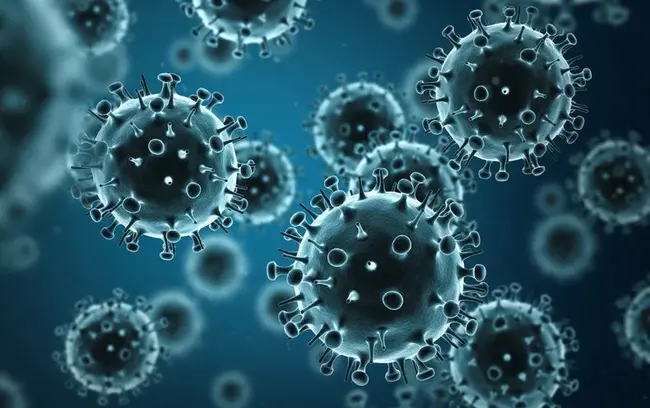 Influenza : 流感