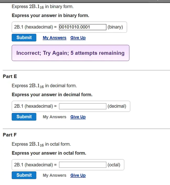 Form Module Binary : 窗体模块二进制