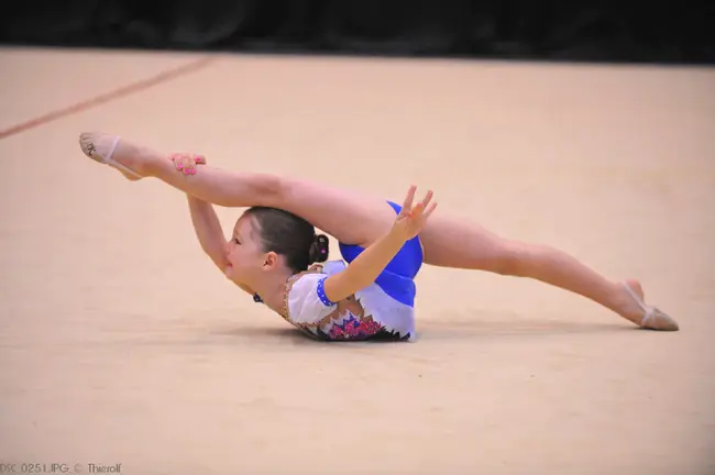 Rhythmic Sportive Gymnastics : 韵律体操