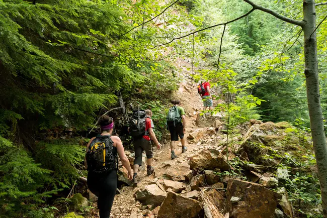 Hiking : 郊游野游