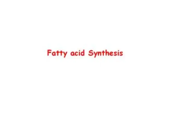 Fatty Acid : 脂肪酸