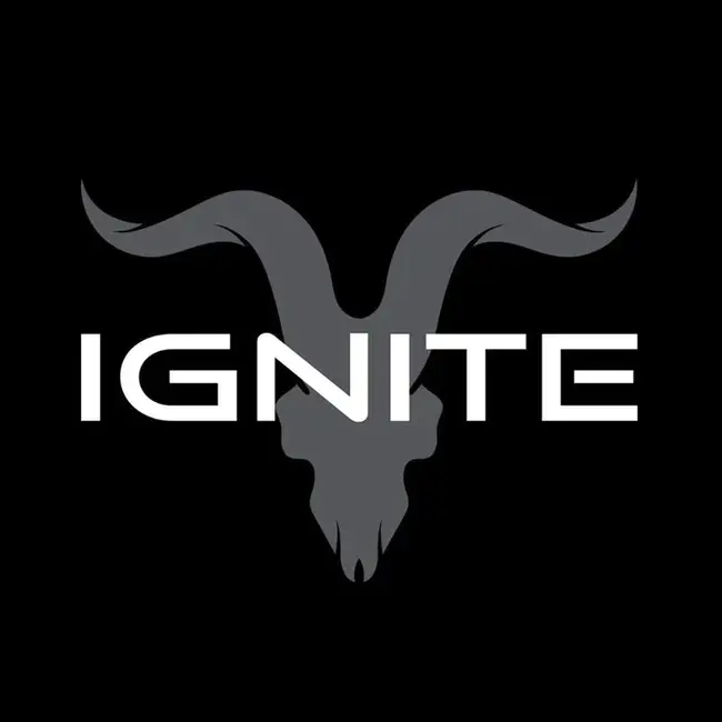 Ignite : 点燃