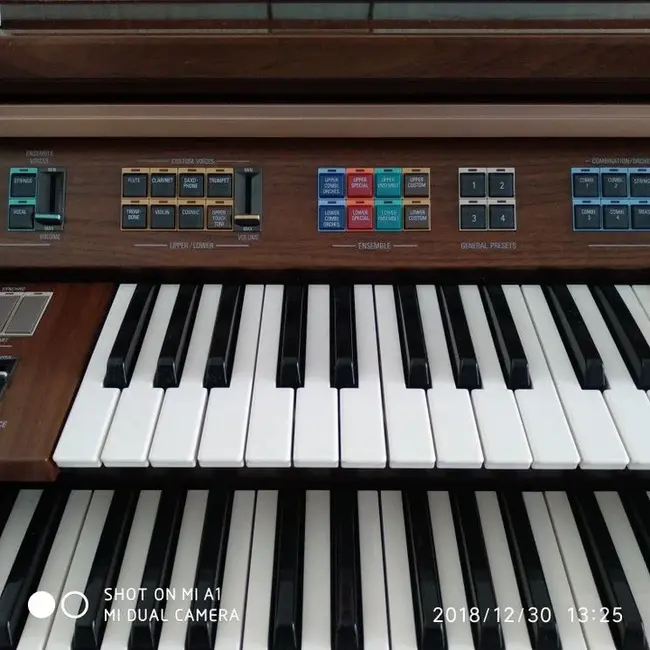 Yamaha Electone Organ : 雅马哈电子琴