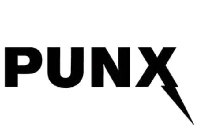 Punx Are Alive : 庞克斯活着