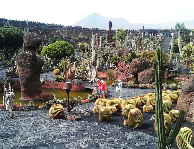 Jardín Botánico Nacional : 国家植物园