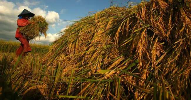 Food And Resource Exchange : 食物和资源交换