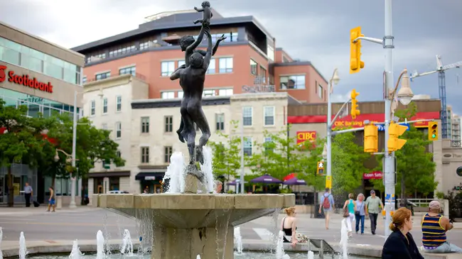 Kitchener Waterloo Toronto : 多伦多基奇纳滑铁卢