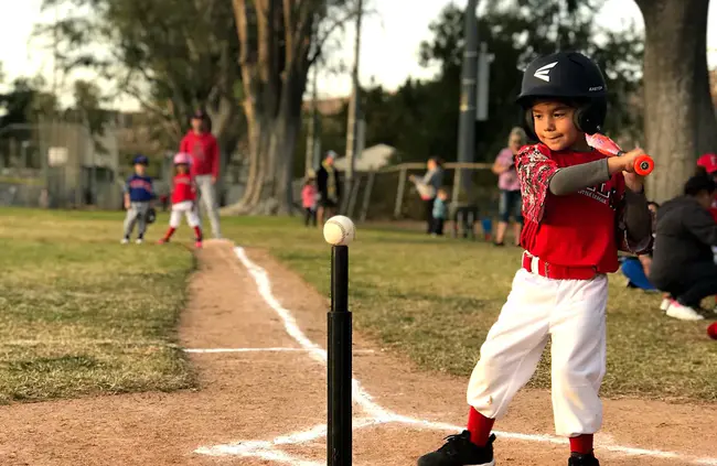 Teeball Teachers Association : 铁球教师协会