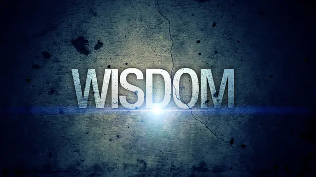 Wisdom Integrity Spirituality Evangelism : 智慧、正直、灵性、传福音
