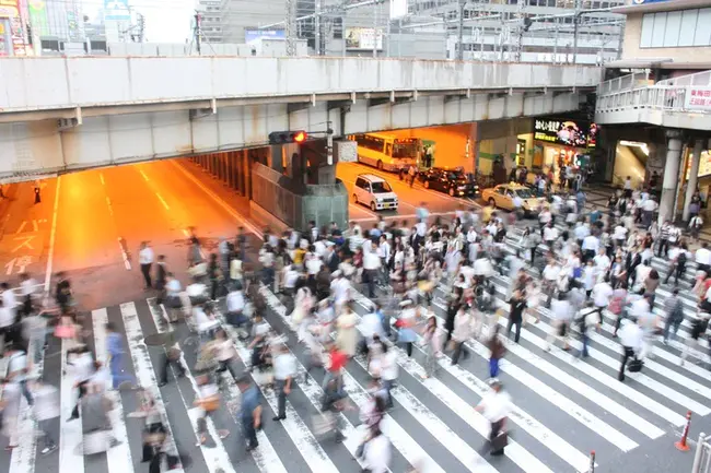 Tokyo Flow : 东京流