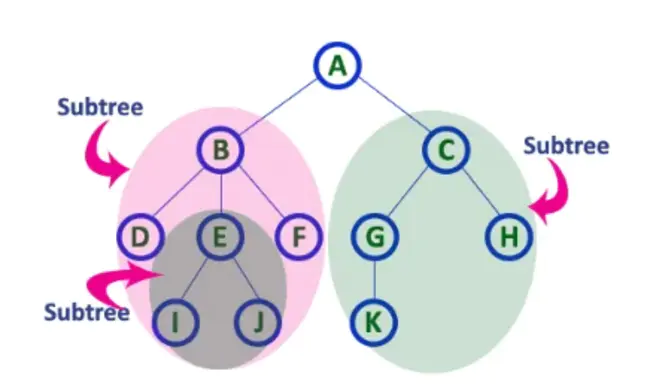 Subtree Prune and Re-graft : Subtree Prune与再嫁接