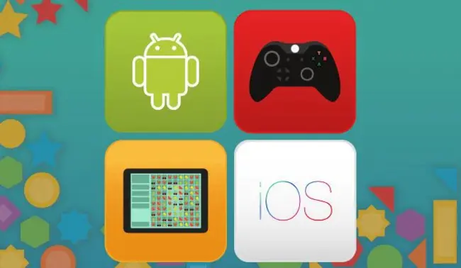 Special Accession Programme for Agriculture and Rural Development : 农业和农村发展特别加入方案