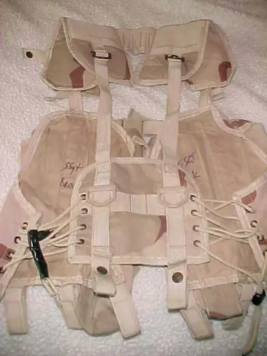 Load Bearing Vest : 承重背心