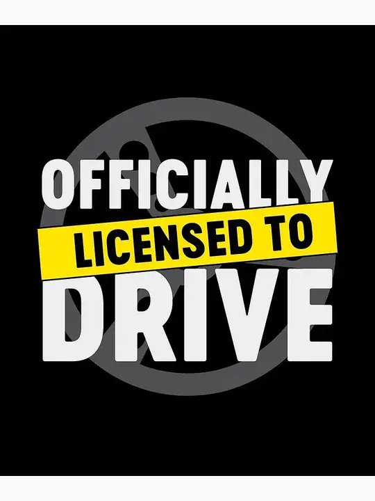 Licensed Driver : 领有执照的司机