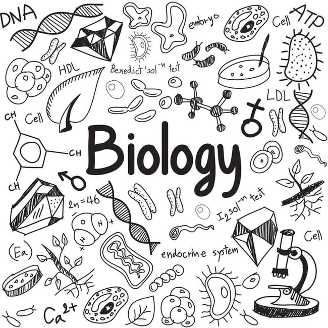 Biology Coloring Book : 生物着色书