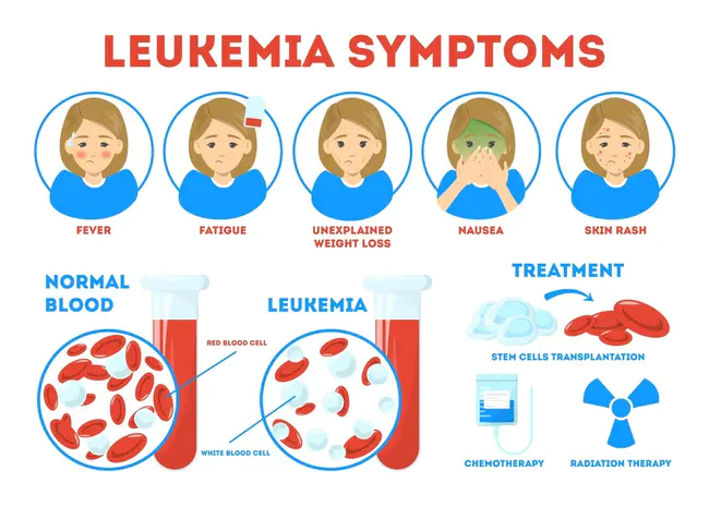 Leukemia Research Fund : 白血病研究基金