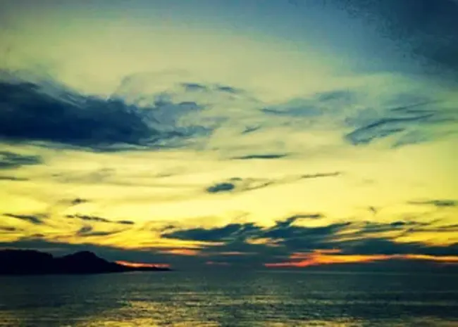 Living Universe Foundation : 生活宇宙基金会