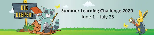Summer Learning In Community Education : 社区教育中的暑期学习