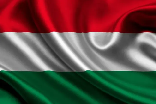 Magyar Koalicio Partja : 匈牙利联合党