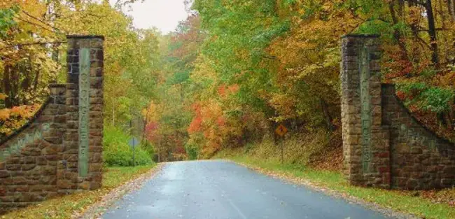 Monongahela National Forest : 莫农加希拉国家森林