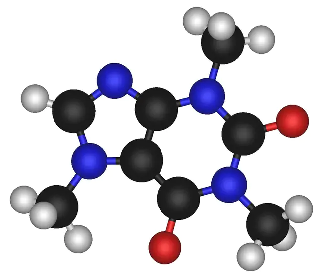 Molecule : 分子