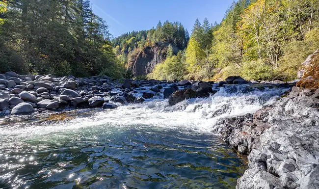 Molalla River Watch : 莫拉拉拉河观察站