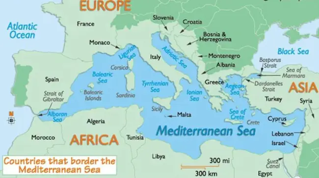 Mediterranean Urological Association : 地中海泌尿学协会