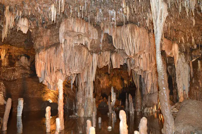 Meramec Valley Grotto : 梅拉梅克山谷石窟