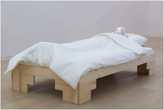 Multi- Zone Mattress : 多区域床垫