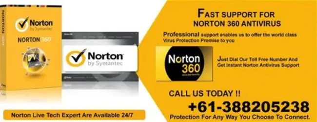 Norton Anti Virus : 诺顿病毒