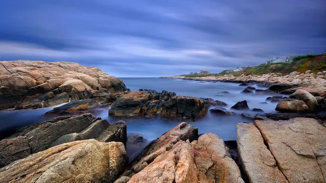 Narragansett Bay Ecosystem : 纳拉甘塞特湾生态系统