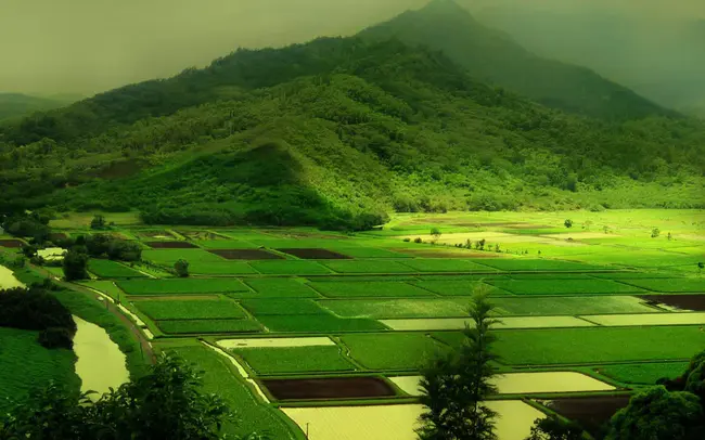 Active Children Openly Representing Nature : 活跃的儿童公开代表自然