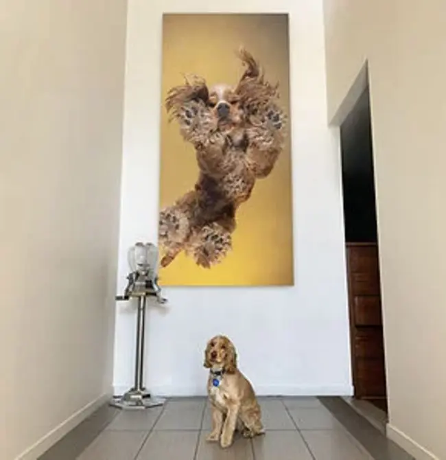 Super Big : 超级大